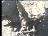 Thumbnail 26