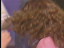 Thumbnail 20