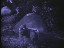 Thumbnail 22