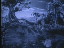 Thumbnail 43
