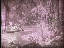 Thumbnail 66