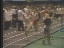 Thumbnail 29