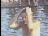 Thumbnail 30