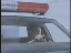 Thumbnail 27
