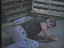 Thumbnail 79