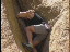Thumbnail 22