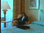 Thumbnail 18