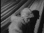 Thumbnail 30