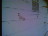 Thumbnail 22
