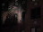 Thumbnail 35