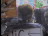 Thumbnail 36