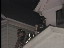 Thumbnail 28