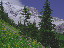Thumbnail 30