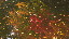 Thumbnail 31