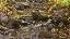 Thumbnail 33