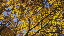 Thumbnail 42