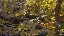 Thumbnail 49