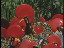 Thumbnail 28