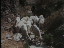 Thumbnail 30