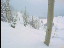 Thumbnail 22