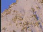 Thumbnail 57