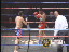 Thumbnail 28