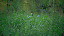Thumbnail 27