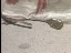 Thumbnail 44