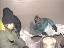 Thumbnail 29
