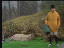 Thumbnail 26