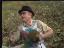 Thumbnail 33