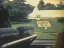 Thumbnail 22