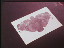 Thumbnail 19