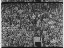 Thumbnail 22