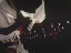 Thumbnail 19