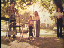 Thumbnail 26