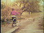 Thumbnail 34