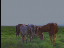 Thumbnail 22