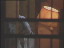 Thumbnail 28