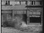 Thumbnail 19
