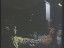Thumbnail 60