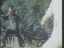 Thumbnail 81