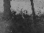 Thumbnail 63
