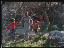Thumbnail 22