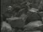 Thumbnail 40
