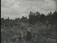 Thumbnail 81