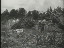 Thumbnail 82