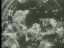 Thumbnail 16