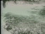 Thumbnail 24