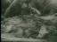 Thumbnail 44